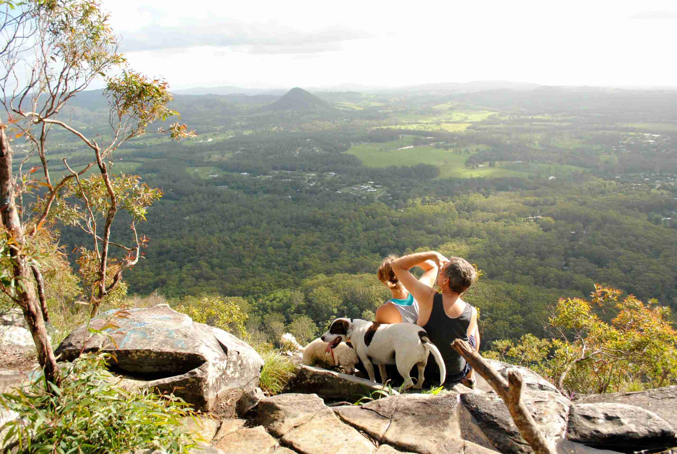 Mount Cooroora